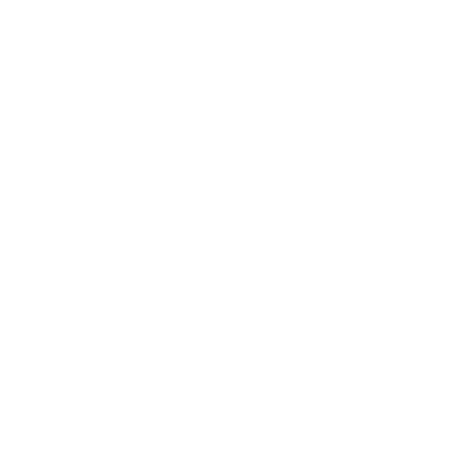 payment protection icon